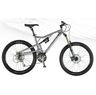 Santa Cruz Heckler 07 Rahmen XL silber ano GO CYCLE